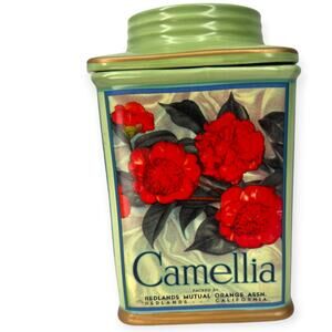 Vintage Oneida Ceramic Canister with Sealed Lid Camellia Kitchen Decor Container